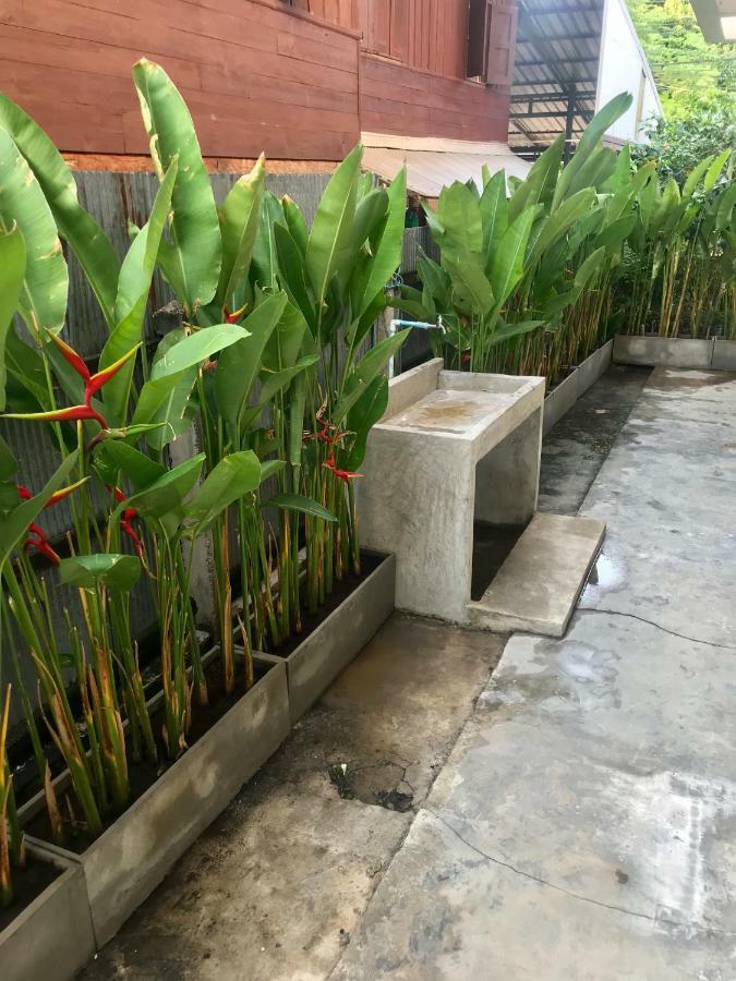 Bed and Breakfast Cozy by Funwahn Chiang Mai Exterior foto